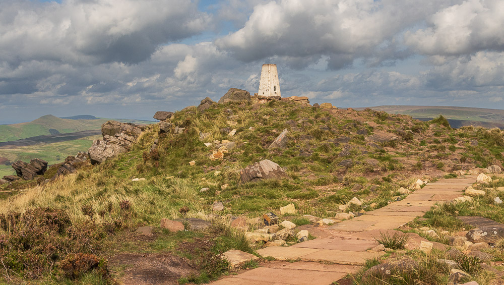 The Roaches The Roaches